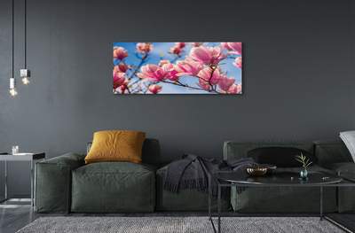 Quadro acrílico Flores de árvores