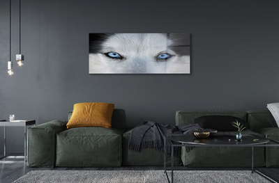 Quadro acrílico Olhos de lobo
