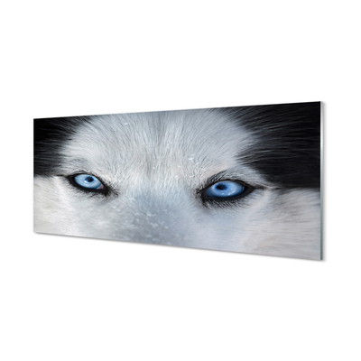Quadro acrílico Olhos de lobo
