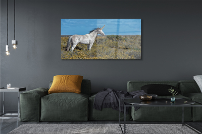 Quadro acrílico Campo de unicórnios