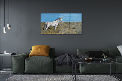 Quadro acrílico Campo de unicórnios