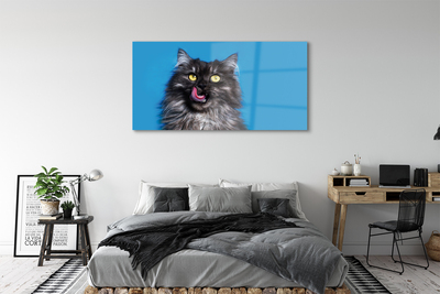 Quadro acrílico Um gato lambendo