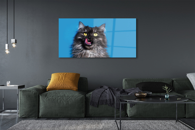 Quadro acrílico Um gato lambendo