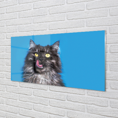 Quadro acrílico Um gato lambendo