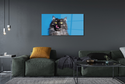 Quadro acrílico Um gato lambendo