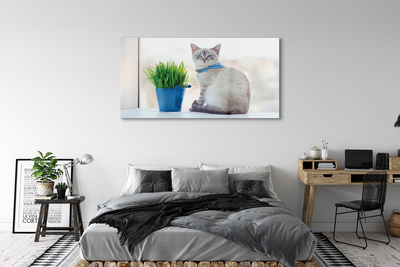 Pintura acrílica Gato sentado