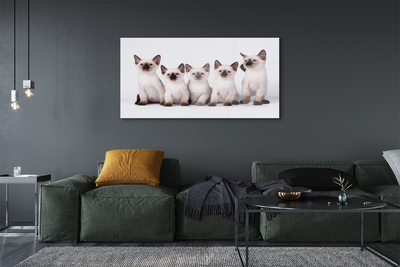 Quadro acrílico Gatinhos