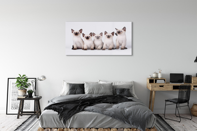Quadro acrílico Gatinhos