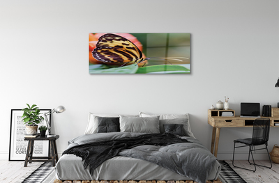 Quadro acrílico Borboleta