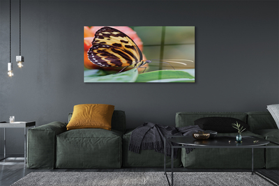 Quadro acrílico Borboleta