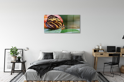 Quadro acrílico Borboleta