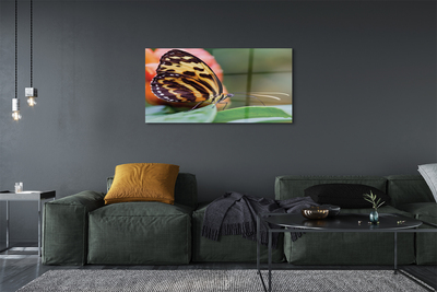 Quadro acrílico Borboleta