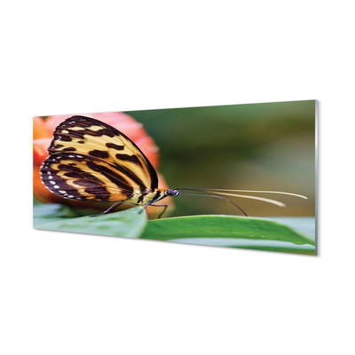 Quadro acrílico Borboleta