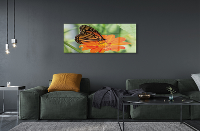 Pintura acrílica Flor borboleta colorida