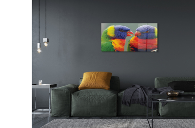 Quadro acrílico Papagaios coloridos
