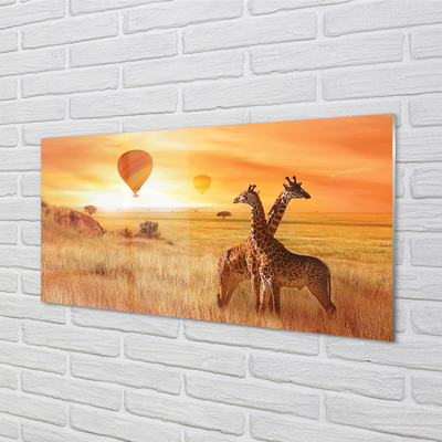 Quadro acrílico Balões Girafa Sky