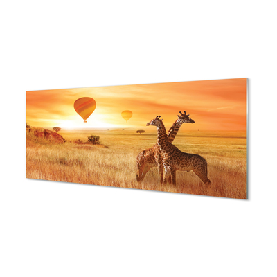 Quadro acrílico Balões Girafa Sky