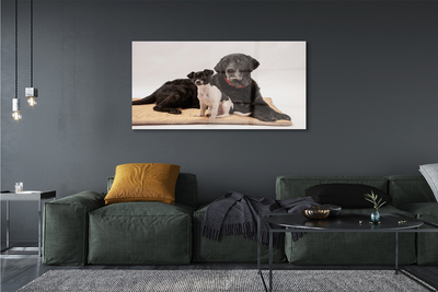 Pintura acrílica Cães mentirosos