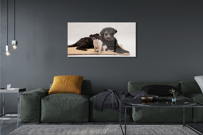 Pintura acrílica Cães mentirosos