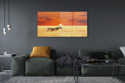 Quadro acrílico Pôr do sol no campo de zebras
