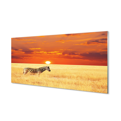Quadro acrílico Pôr do sol no campo de zebras