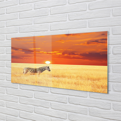 Quadro acrílico Pôr do sol no campo de zebras