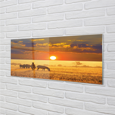 Quadro acrílico Nuvens de pôr do sol zebra
