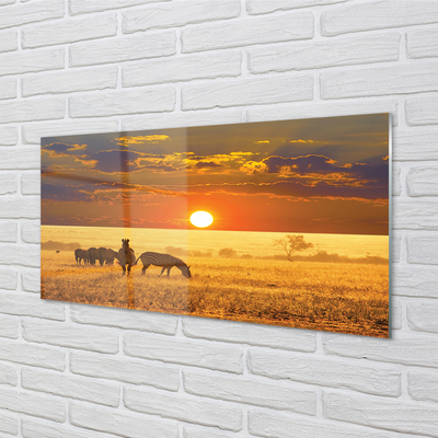Quadro acrílico Nuvens de pôr do sol zebra