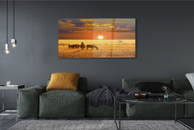 Quadro acrílico Nuvens de pôr do sol zebra