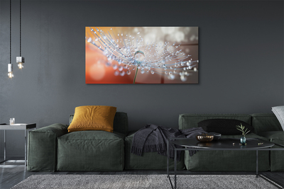 Quadro acrílico Macro de gotas de dente-de-leão