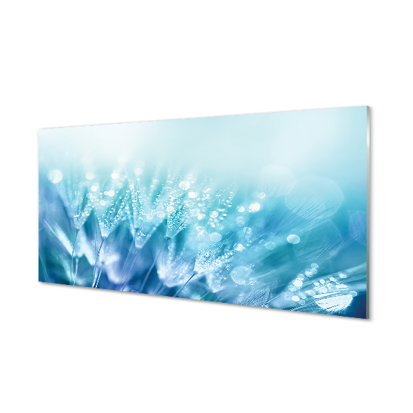 Quadro acrílico Resumo de gotas de dente-de-leão