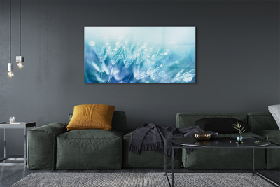 Quadro acrílico Resumo de gotas de dente-de-leão