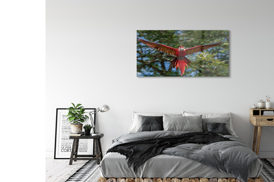 Pintura acrílica papagaio arara