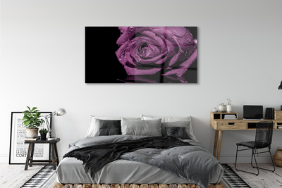 Pintura acrílica Rosa roxa