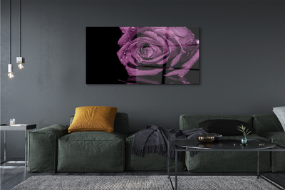 Pintura acrílica Rosa roxa