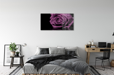 Pintura acrílica Rosa roxa