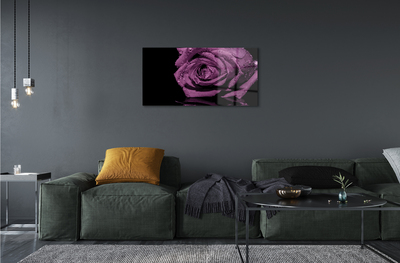Pintura acrílica Rosa roxa