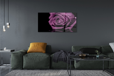 Pintura acrílica Rosa roxa