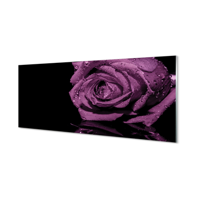 Pintura acrílica Rosa roxa