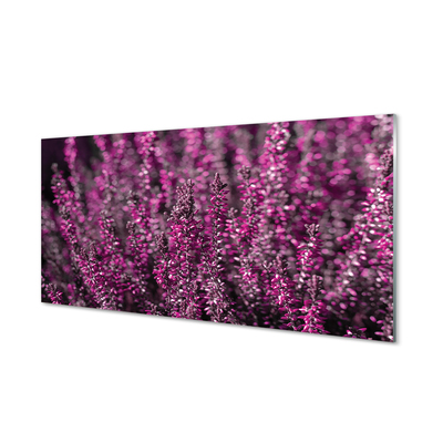 Quadro acrílico Campo de urze