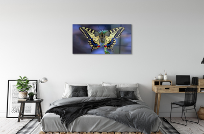 Quadro acrílico Borboleta em uma flor