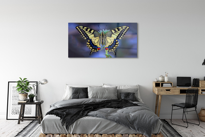 Quadro acrílico Borboleta em uma flor