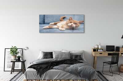 Quadro acrílico Gato deitado