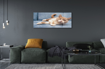 Quadro acrílico Gato deitado
