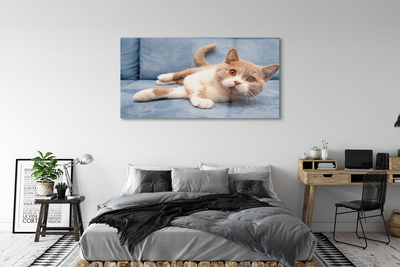 Quadro acrílico Gato deitado