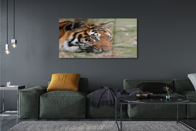 Pintura acrílica Floresta do Tigre