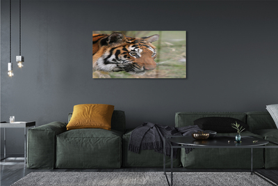 Pintura acrílica Floresta do Tigre