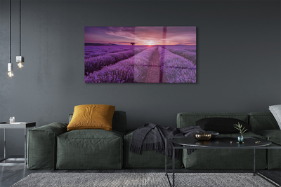 Pintura acrílica Campo de urze