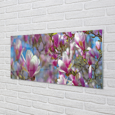 Pintura acrílica Árvores de magnólia