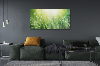 Pintura acrílica Gotas, grama, sol